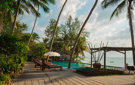 Tropical Resort View